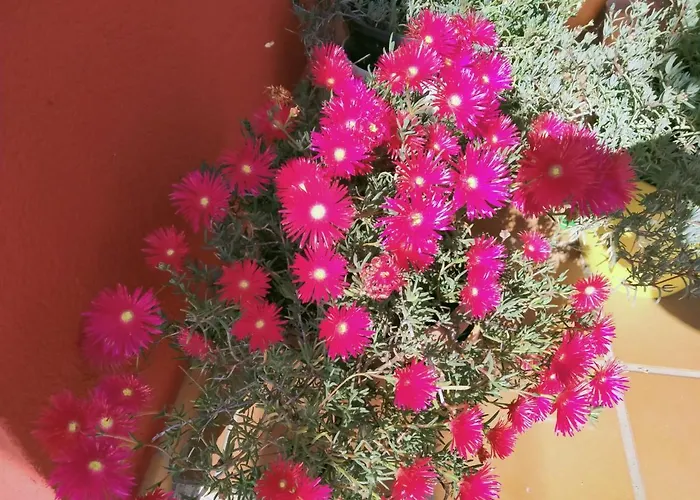 ヴィラ Casa De Sunny Ponte Caldelas